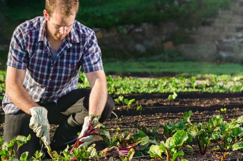 Garden clearance services in Dalston