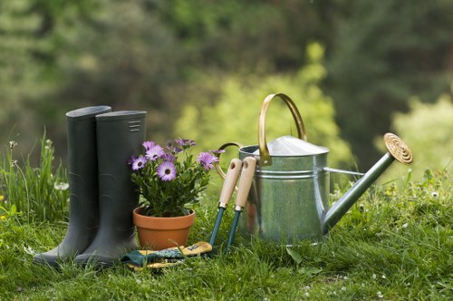 Summer garden maintenance activities in Dalston