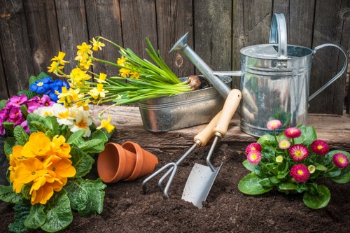 Sustainable landscaping practices in a Dalston garden