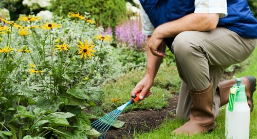 Eco-friendly hedge trimming practices in an urban garden
