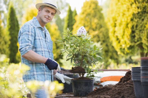Professional maintenance of Dalston garden