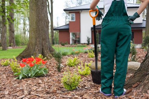 Eco-friendly tree removal practices in Dalston